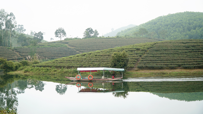 oc dao che co mot khong hai o vung bien gioi viet nam