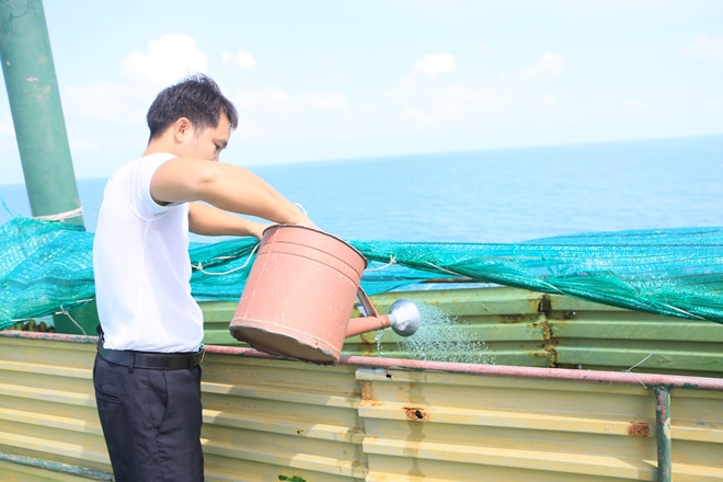 linh nha gian quyet tam doan tuyet thuoc la