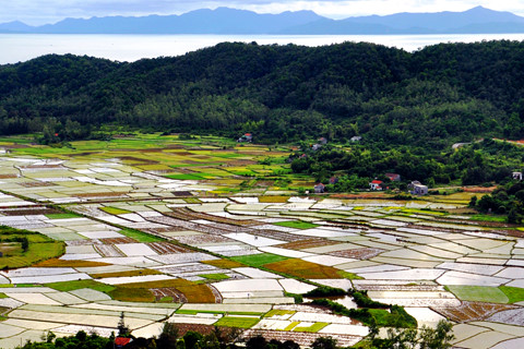 toi quang ninh san anh doc tai vuon quoc gia tren bien