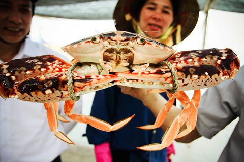 toi quang ninh san anh doc tai vuon quoc gia tren bien
