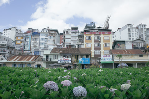 da lat xo lech va nhung noi buon cua thanh pho suong