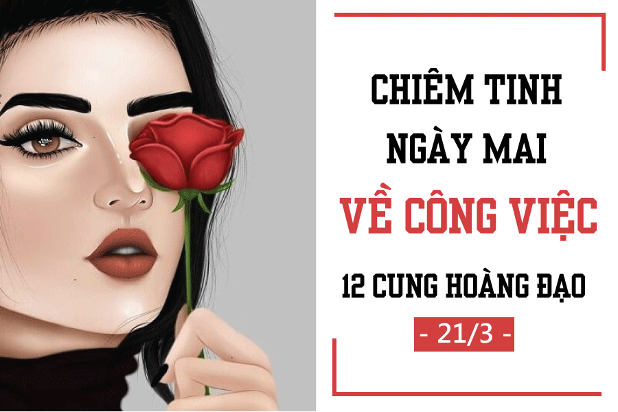 chiem tinh ngay mai 213 ve cong viec cua 12 cung hoang dao bao binh tham vong