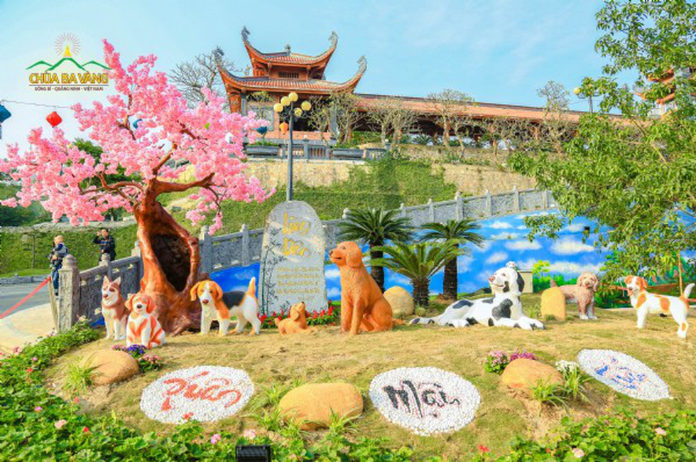 chua ba vang chiem hang chuc ngan met vuong dat rung quoc gia
