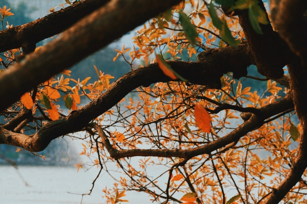 ha noi lot top 25 diem den ua chuong nhat the gioi nam 2019 do tripadvisor binh chon