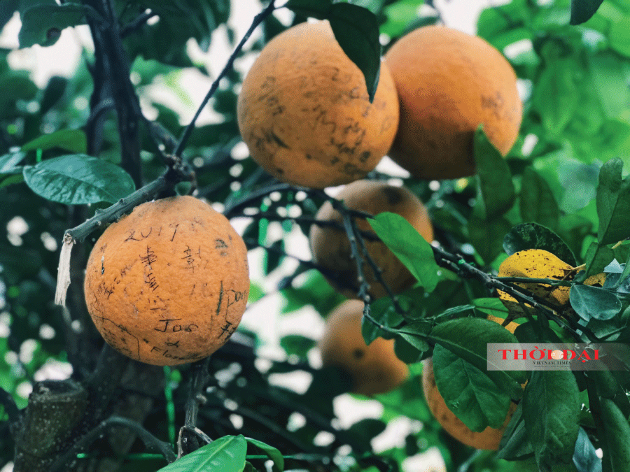 Bên trong ngôi chùa ở Hà Nội lọt top 10 chùa đẹp nhất thế giới có gì? ben trong ngoi chua o ha noi lot top 10 chua dep nhat the gioi co gi