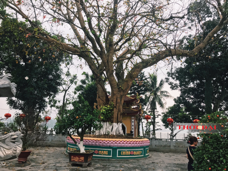 Bên trong ngôi chùa ở Hà Nội lọt top 10 chùa đẹp nhất thế giới có gì? ben trong ngoi chua o ha noi lot top 10 chua dep nhat the gioi co gi