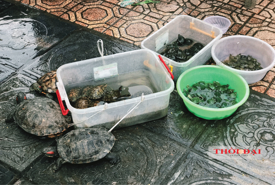 Bên trong ngôi chùa ở Hà Nội lọt top 10 chùa đẹp nhất thế giới có gì? ben trong ngoi chua o ha noi lot top 10 chua dep nhat the gioi co gi