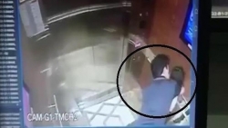 Ủy ban Tư pháp Quốc hội yêu cầu báo cáo các vụ xâm hại tình dục trẻ em