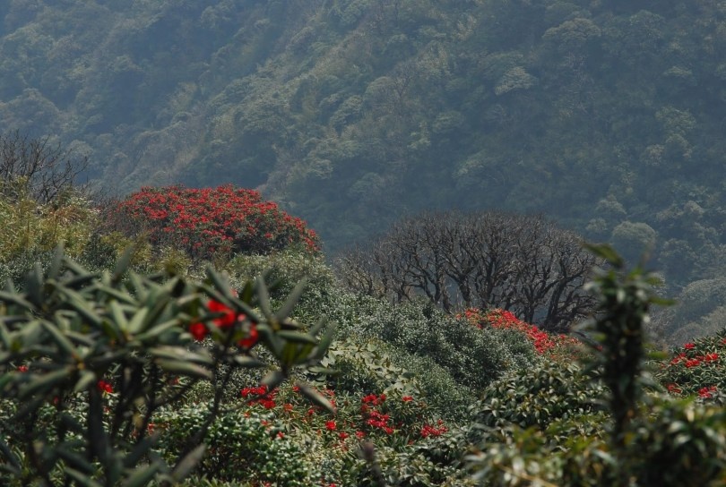 Top 4 "thiên đường" du lịch ở miền Bắc thỏa sức tận hưởng dịp 30/4 - 1/5 top 4 thien duong du lich o mien bac thoa suc tan huong dip 304 15