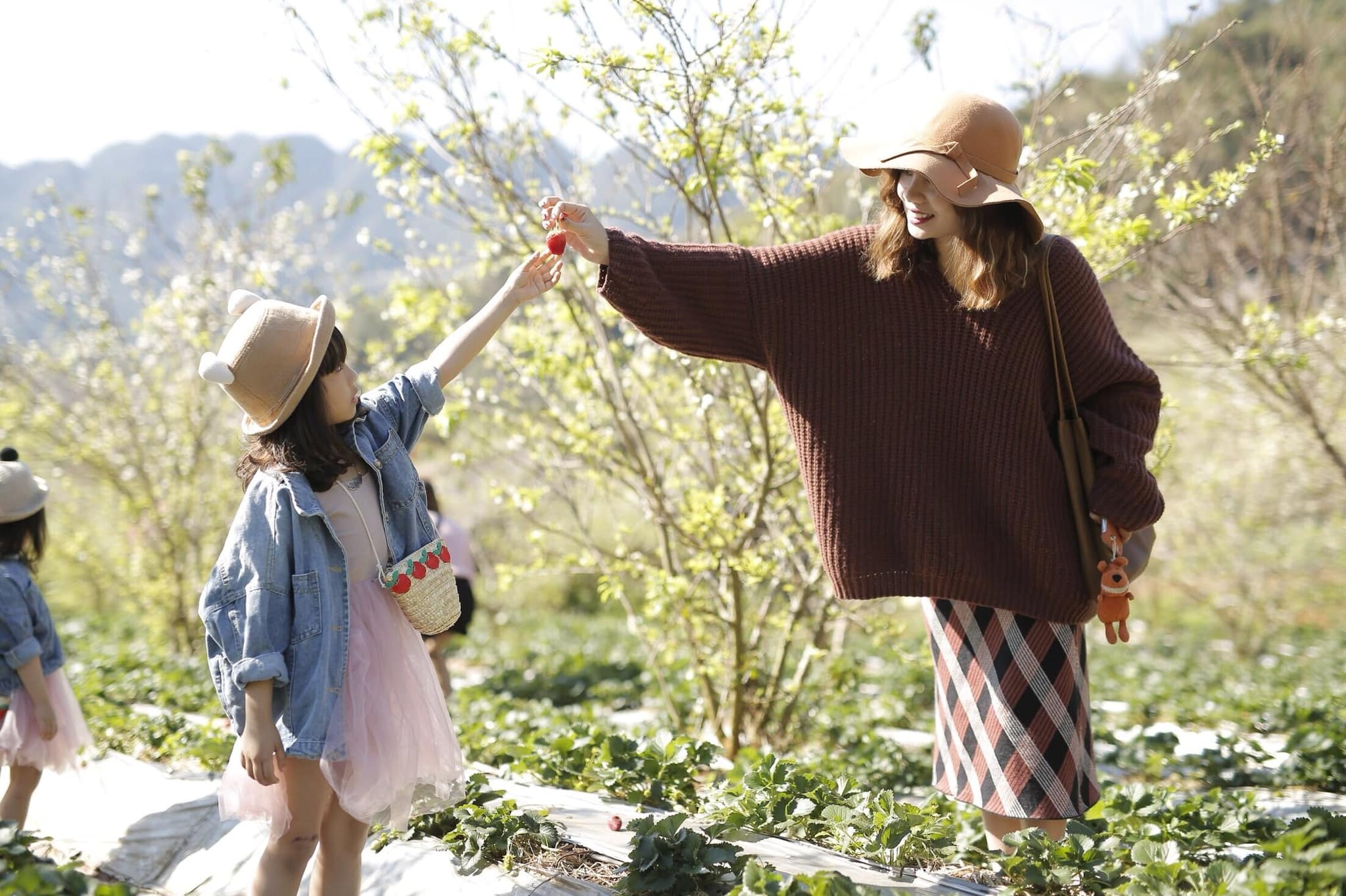 Top 4 "thiên đường" du lịch ở miền Bắc thỏa sức tận hưởng dịp 30/4 - 1/5 top 4 thien duong du lich o mien bac thoa suc tan huong dip 304 15