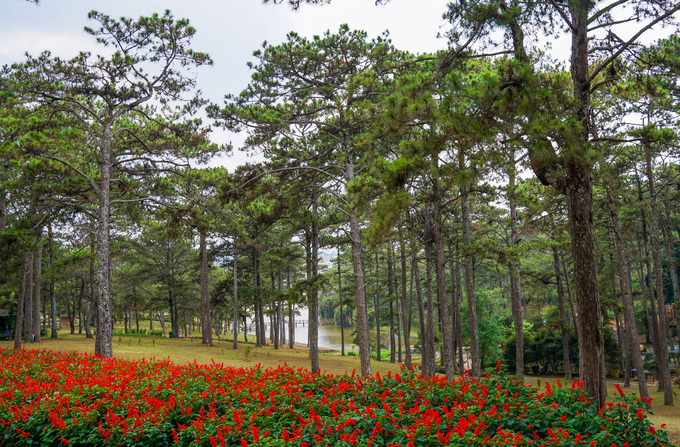 ho nuoc gan lien voi nhung cau chuyen tinh buon o da lat