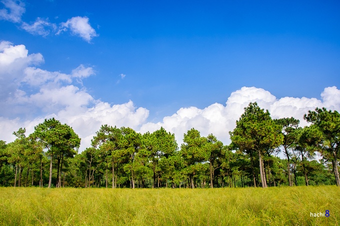 Chí Linh lên thành phố: Có những điểm du lịch nào hấp dẫn? chi linh len thanh pho co nhung diem du lich nao hap dan