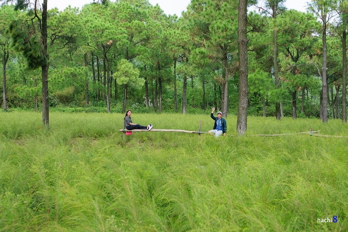 Chí Linh lên thành phố: Có những điểm du lịch nào hấp dẫn? chi linh len thanh pho co nhung diem du lich nao hap dan