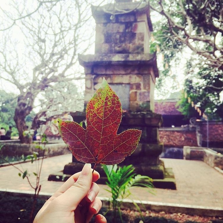 Chí Linh lên thành phố: Có những điểm du lịch nào hấp dẫn? chi linh len thanh pho co nhung diem du lich nao hap dan