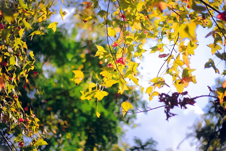 Chí Linh lên thành phố: Có những điểm du lịch nào hấp dẫn? chi linh len thanh pho co nhung diem du lich nao hap dan