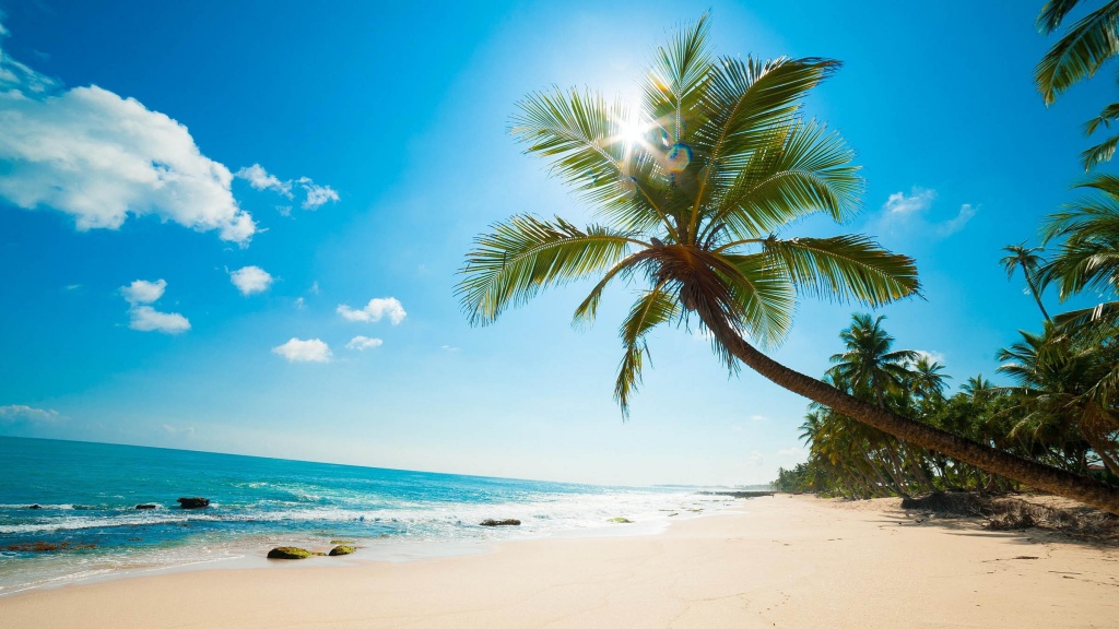 4 dia diem du lich gia hoi va kinh nghiem du lich bang may bay sieu tiet kiem nhan dip 304 15