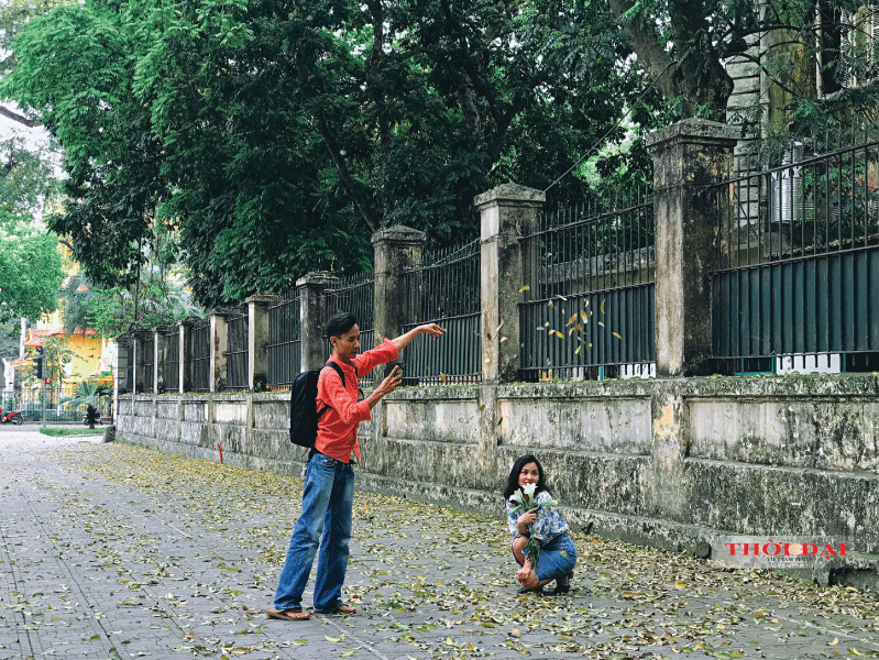 Người Hà Nội kéo nhau đến con đường lãng mạn nhất thủ đô mùa sấu thay lá nguoi ha noi keo nhau den con duong lang man nhat thu do mua sau thay la