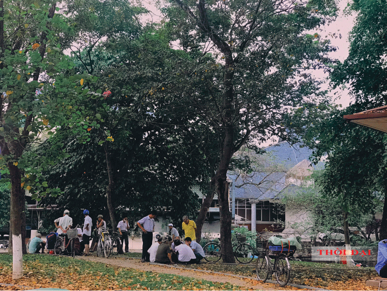 Người Hà Nội kéo nhau đến con đường lãng mạn nhất thủ đô mùa sấu thay lá nguoi ha noi keo nhau den con duong lang man nhat thu do mua sau thay la