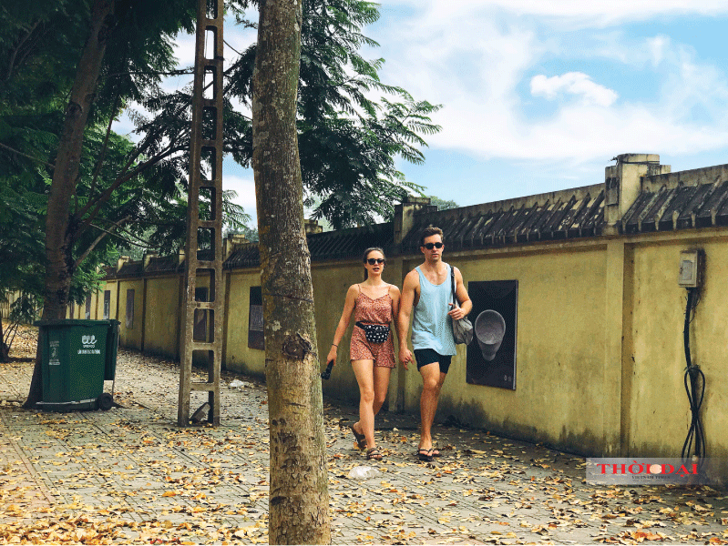 Người Hà Nội kéo nhau đến con đường lãng mạn nhất thủ đô mùa sấu thay lá nguoi ha noi keo nhau den con duong lang man nhat thu do mua sau thay la