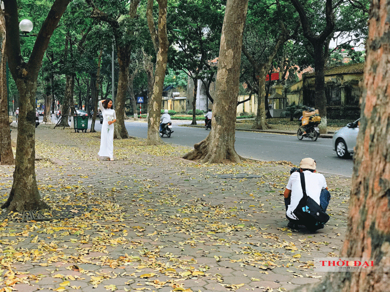 Người Hà Nội kéo nhau đến con đường lãng mạn nhất thủ đô mùa sấu thay lá nguoi ha noi keo nhau den con duong lang man nhat thu do mua sau thay la