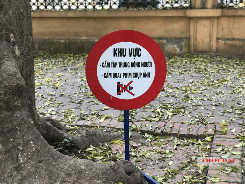 Người Hà Nội kéo nhau đến con đường lãng mạn nhất thủ đô mùa sấu thay lá nguoi ha noi keo nhau den con duong lang man nhat thu do mua sau thay la