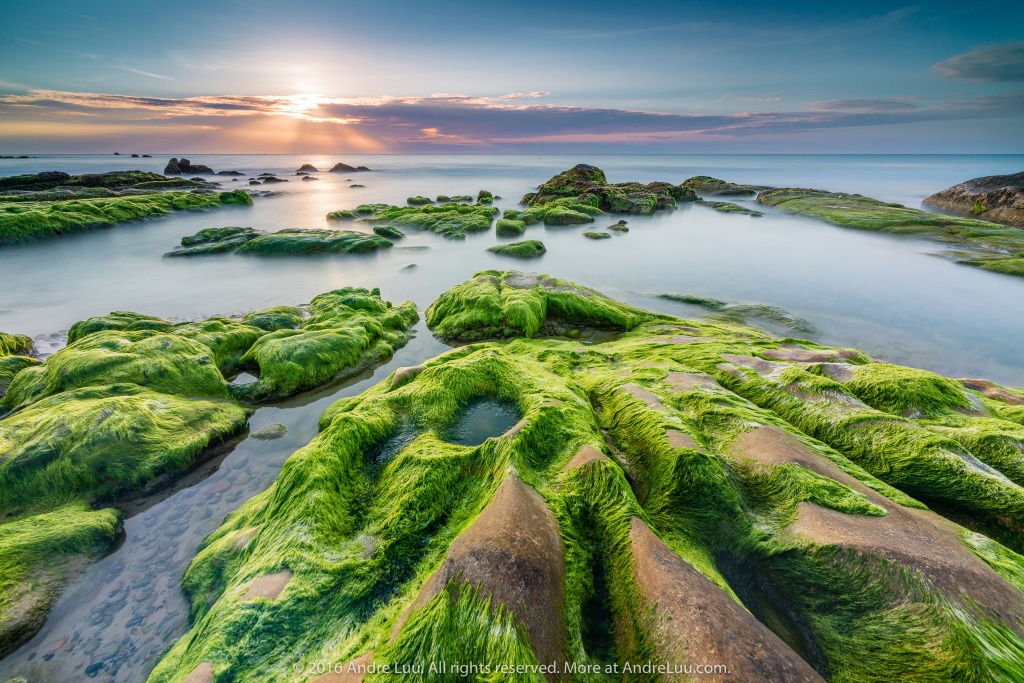 bay dau phuong nam de tranh dong nguoi dip 304 15