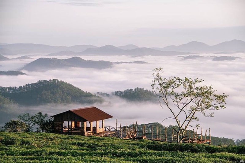 "Cầu gỗ săn mây" ngừng nhận khách - hồi chuông cảnh báo về ý thức của người tham gia cau go san may ngung nhan khach tham quan hoi chuong canh bao ve y thuc cua nguoi tham gia