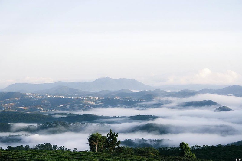 "Cầu gỗ săn mây" ngừng nhận khách - hồi chuông cảnh báo về ý thức của người tham gia cau go san may ngung nhan khach tham quan hoi chuong canh bao ve y thuc cua nguoi tham gia