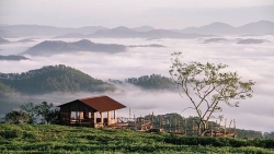 cau go san may ngung nhan khach hoi chuong canh bao ve y thuc cua nguoi tham gia