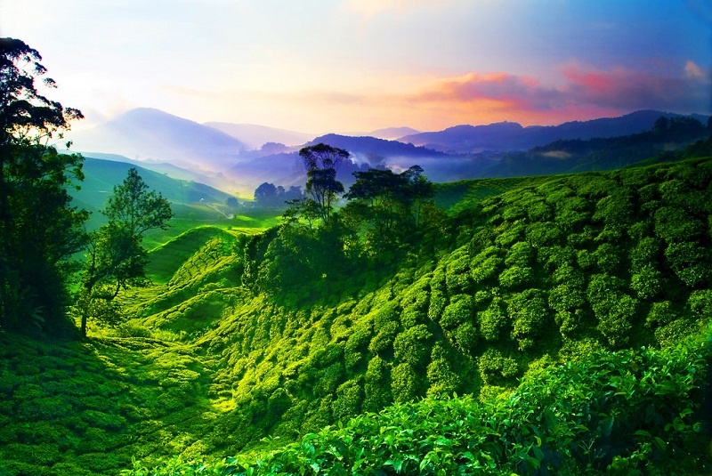 tan huong he tron ven voi nhung diem du lich nuoc ngoai dep quen loi ve