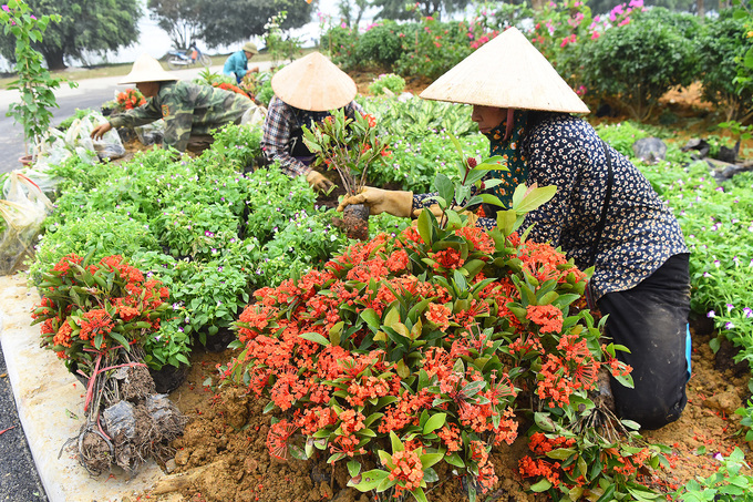 trung tam hoi nghi quoc te phuc vu dai le phat dan