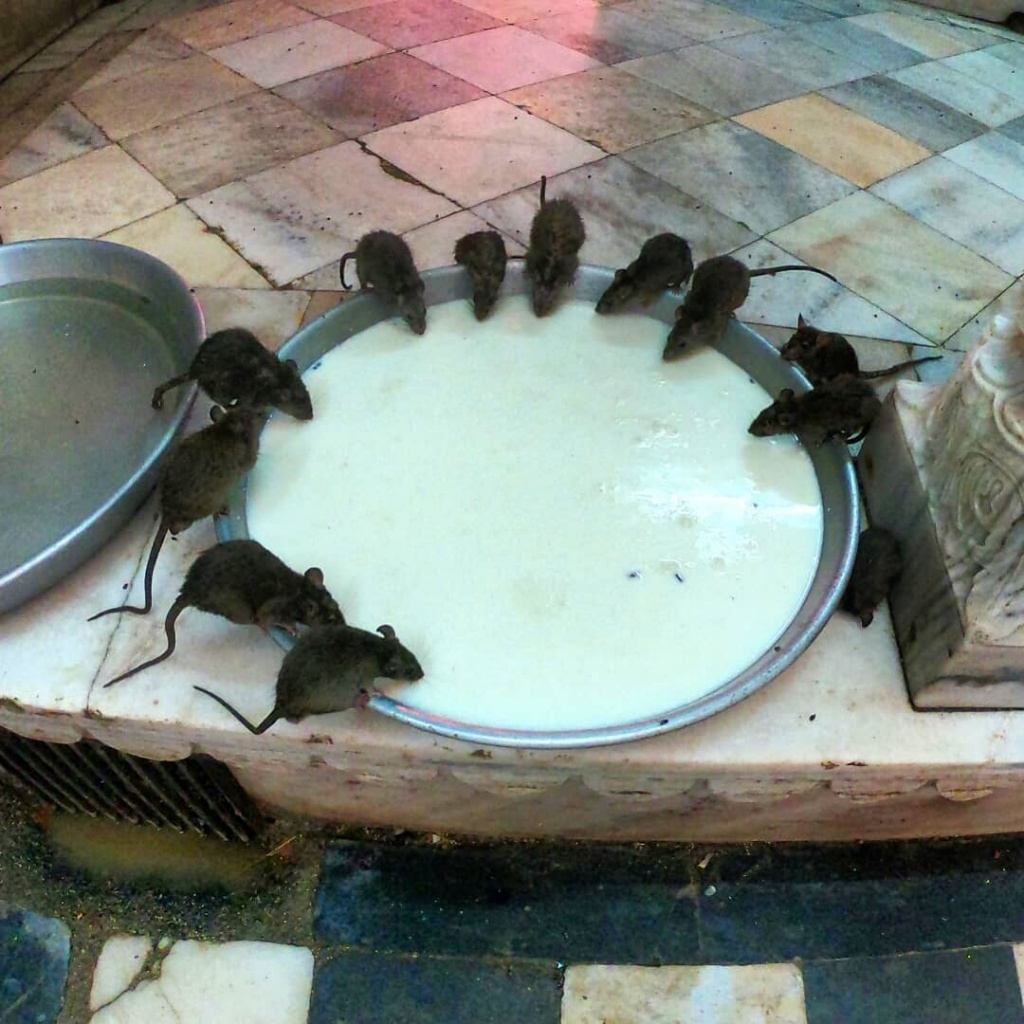 Nếu là người có hệ miễn dịch kém, 5 điểm đến dưới đây không phải là nơi dành cho bạn neu la nguoi co he mien dich kem 5 diem den duoi day khong phai la noi danh cho ban