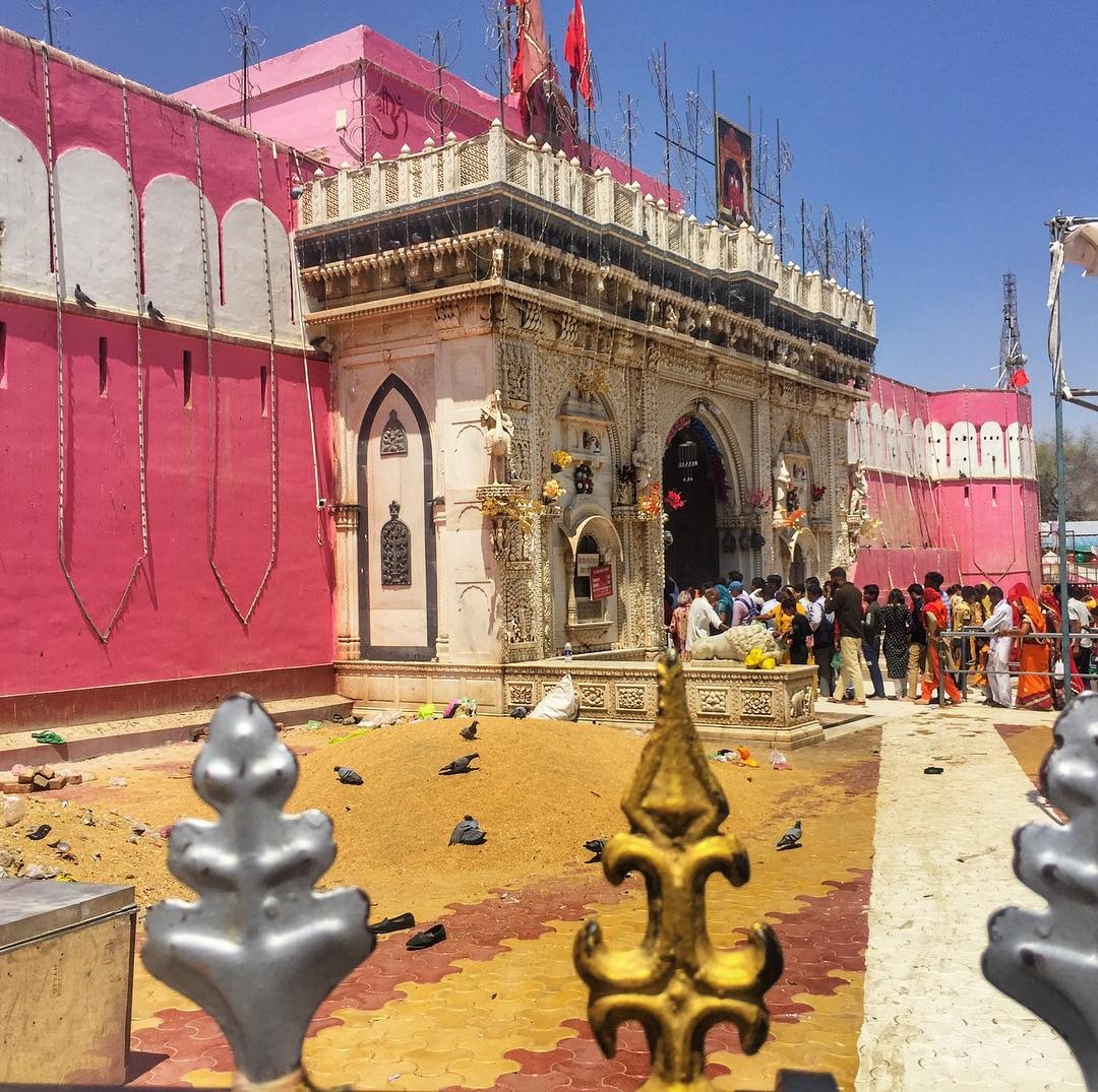 Nếu là người có hệ miễn dịch kém, 5 điểm đến dưới đây không phải là nơi dành cho bạn neu la nguoi co he mien dich kem 5 diem den duoi day khong phai la noi danh cho ban