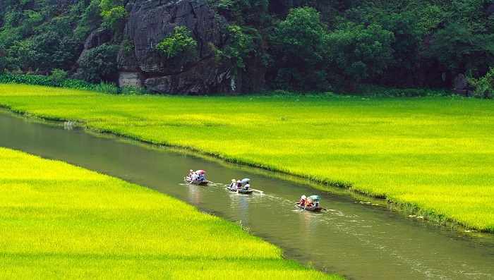ly do gi khien tam coc bich dong duoc vi la vinh ha long tren can