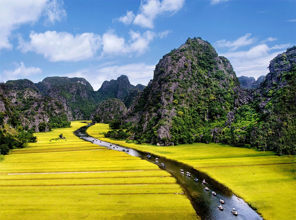 ly do gi khien tam coc bich dong duoc vi la vinh ha long tren can
