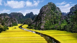 ĐIều gì khiến Tam Cốc Bích Động được ví là "Vịnh Hạ Long trên cạn"?