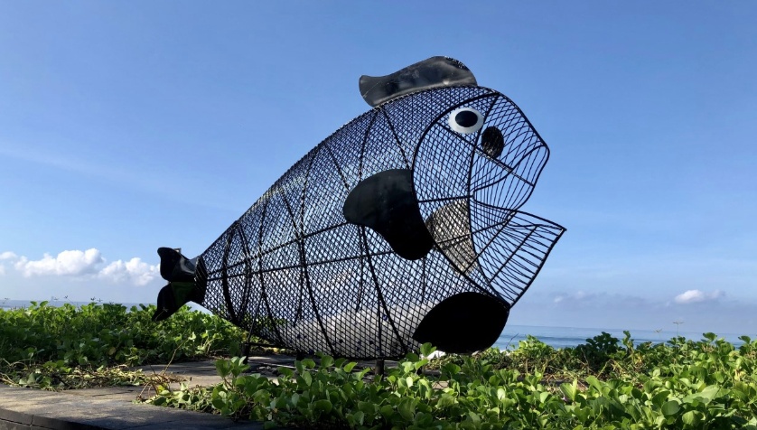 Dự án "Bống ăn rác" lần đầu tiên xuất hiện tại bãi biển Đà Nẵng du an bong an rac lan dau tien xuat hien tai bai bien da nang