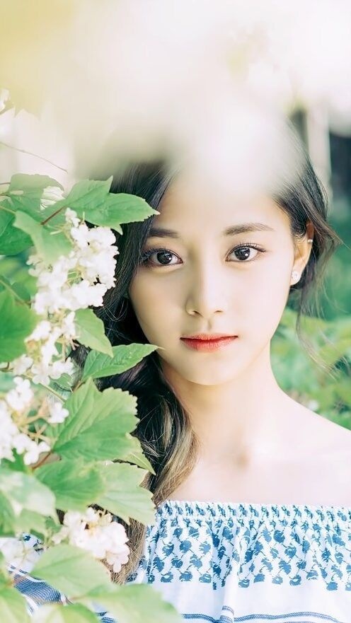 Tử vi hôm nay (27/5) về công việc của 12 con giáp: Tuổi Thìn "quá tải", tuổi Sửu may mắn tu vi hom nay 275 ve cong viec cua 12 con giap tuoi thin qua tai tuoi suu may man