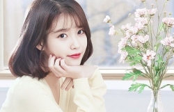 Tử vi hôm nay (29/5) về công việc của 12 con giáp: Tuổi Thìn nên kìm chế tham vọng, tuổi Tý bế tắc
