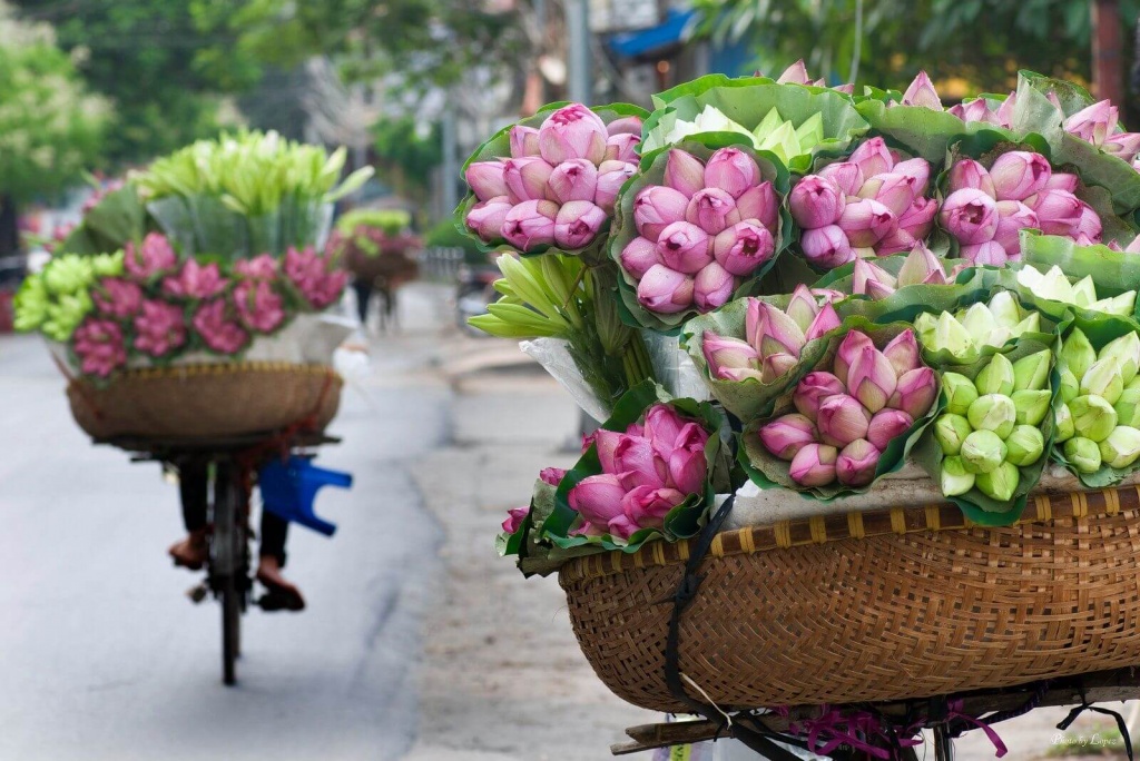 bay khap moi mien noi lien khoang cach cung bamboo airways trong mua he nay