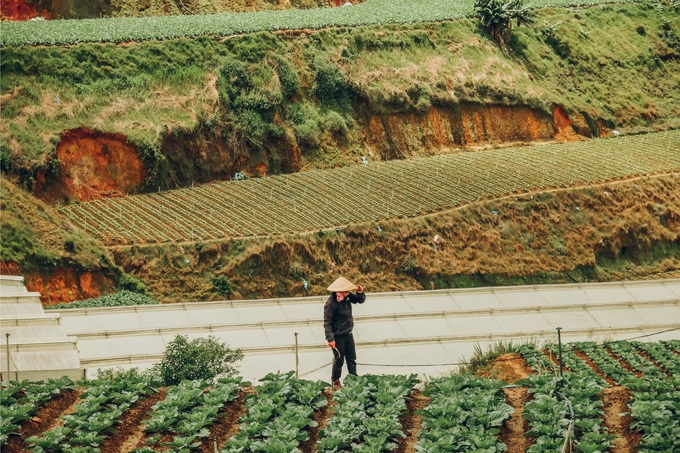 da lat dep mo mang trong nang ha qua lang kinh cua nhiep anh tre 9x