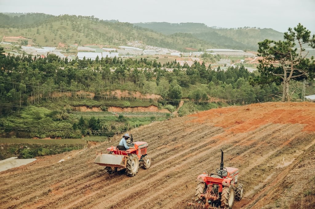 da lat dep mo mang trong nang ha qua lang kinh cua nhiep anh tre 9x