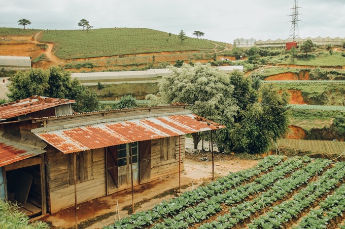 da lat dep mo mang trong nang ha qua lang kinh cua nhiep anh tre 9x