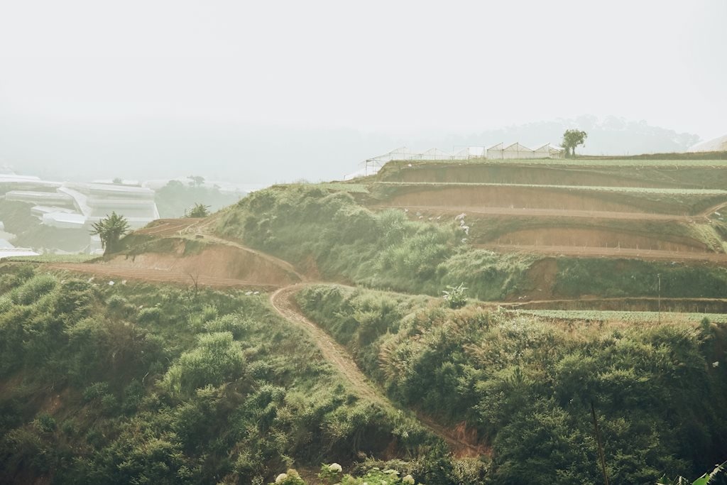 da lat dep mo mang trong nang ha qua lang kinh cua nhiep anh tre 9x