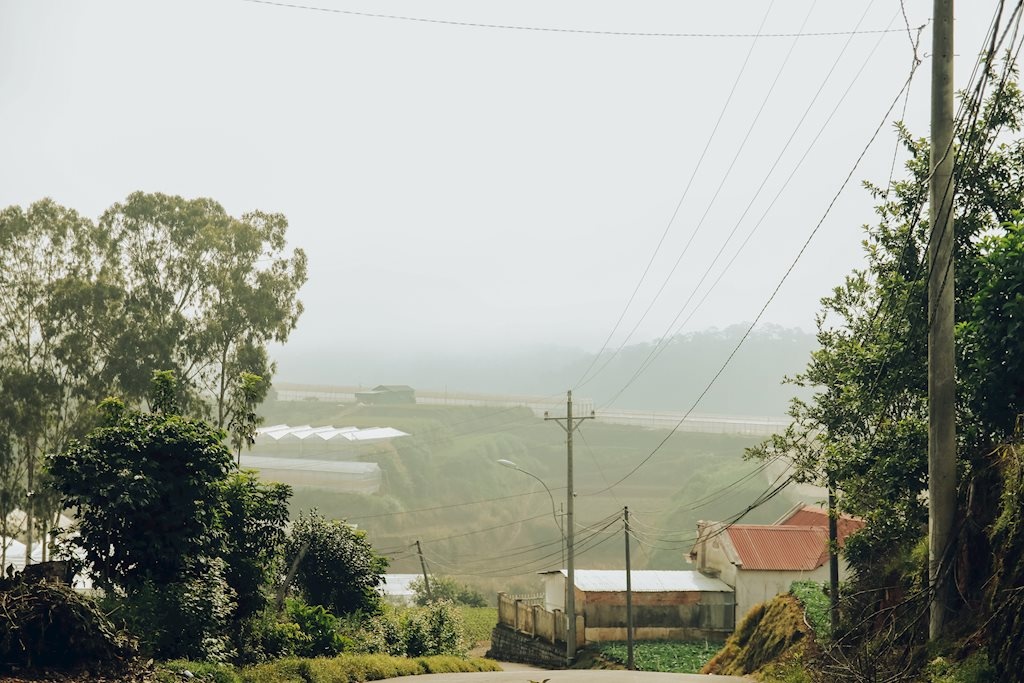 da lat dep mo mang trong nang ha qua lang kinh cua nhiep anh tre 9x