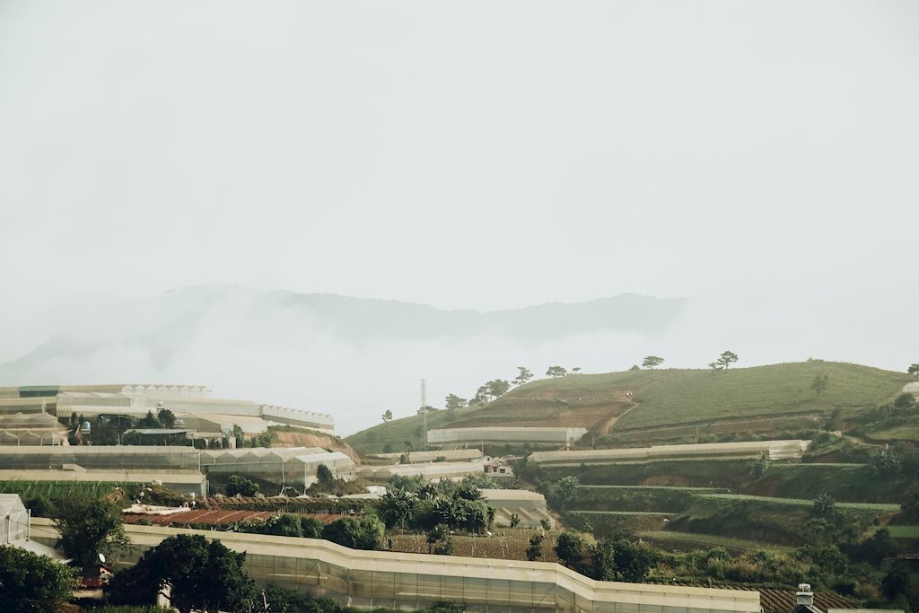 da lat dep mo mang trong nang ha qua lang kinh cua nhiep anh tre 9x