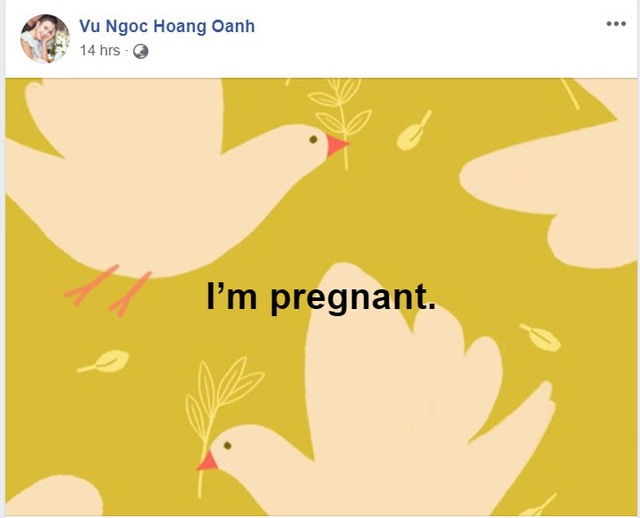 facebook sao viet hom nay 137 ha anh tiep tuc khien dan mang day song a hau hoang oanh co thai