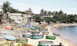 Một Lý Sơn thu nhỏ trên đất liền