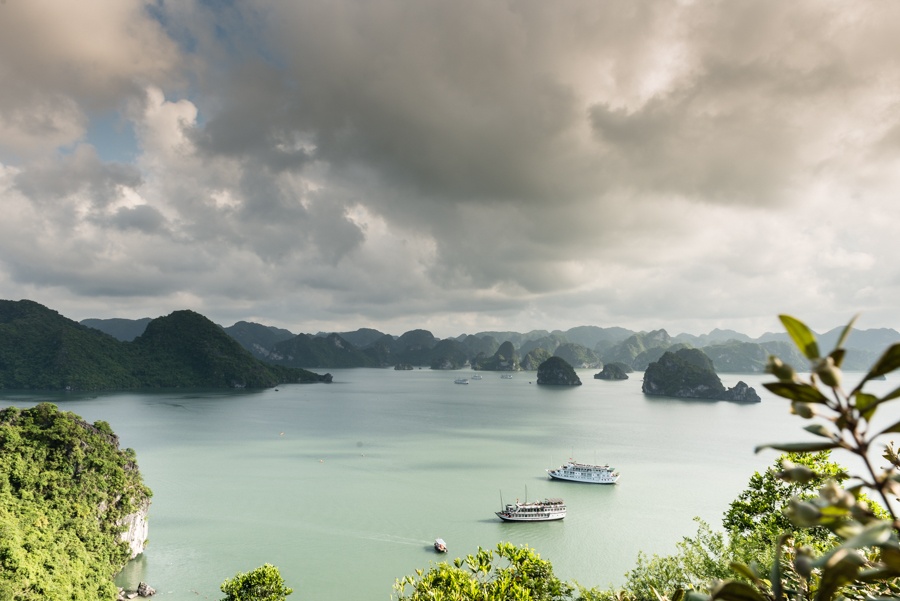 tam dung hoat dong bai tam soi sim tren vinh ha long