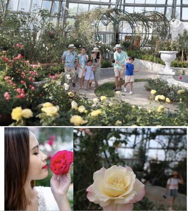 vuot bien kham pha vuong quoc hoa hong trai nghiem moi cuc ngot ngao tai nha trang